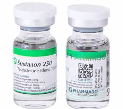 Sustanon 250 mg (1 vial)